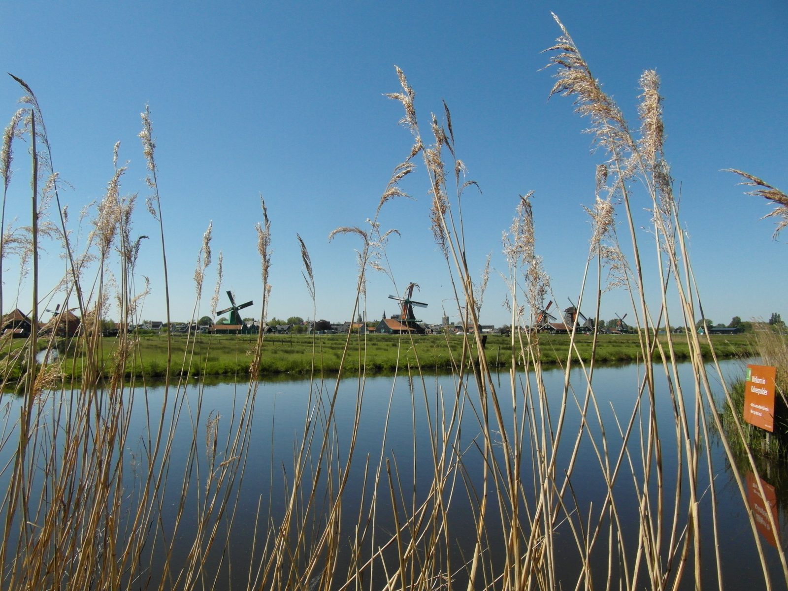 panorama van de Zaanse Schans